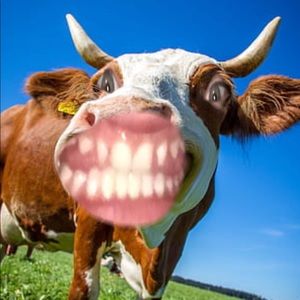 Meet your Posher, Heaven